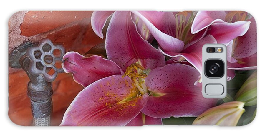 Pink Galaxy Case featuring the photograph Water the Lillies by Lisa Schwaberow