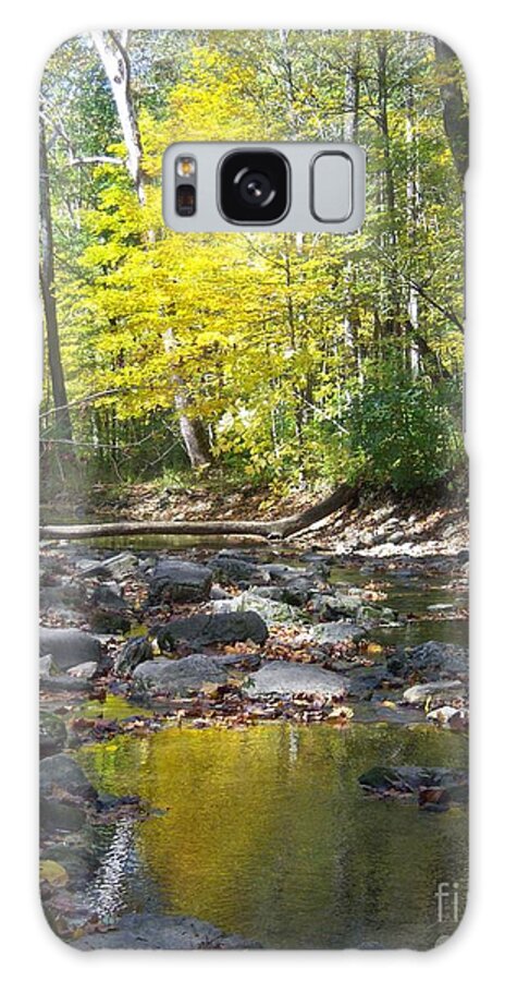Fall Trees Galaxy Case featuring the photograph Water Trail McCormick's Creek State Park by Pamela Clements
