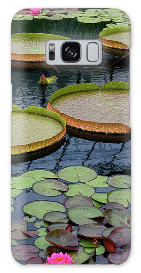 Aquatic Plants Galaxy Case featuring the photograph Waterlilies and Platters 2 by Byron Varvarigos