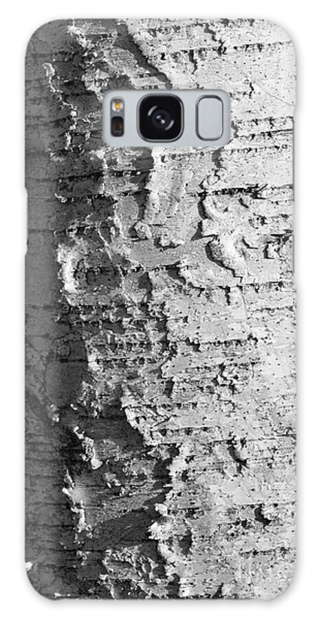 Birch Galaxy Case featuring the photograph Weathered by Luke Moore