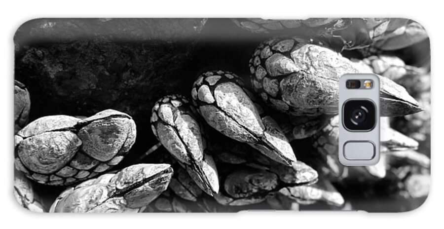 Barnacle Galaxy Case featuring the photograph West Coast Delicacy by Cheryl Hoyle