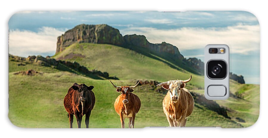 Cattle Galaxy S8 Case featuring the photograph Western Longhorns by Todd Klassy