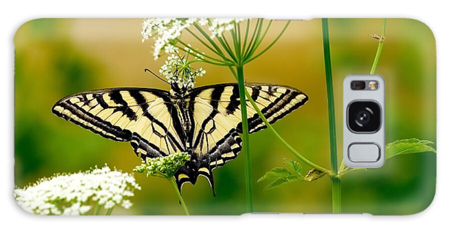 Western Tiger Swallowtail Butterfly Galaxy Case featuring the photograph Western Tiger Swallowtail Butterfly by Sharon Talson