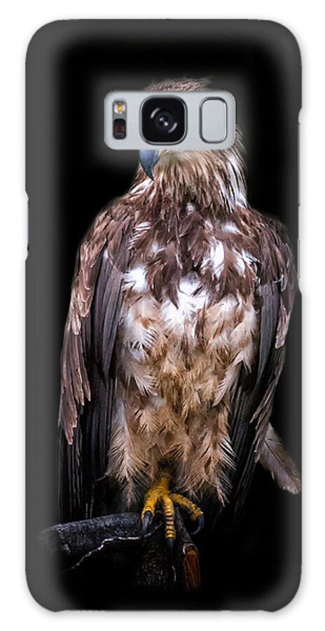 Eagle Galaxy Case featuring the photograph Wet Feathers by Ghostwinds Photography