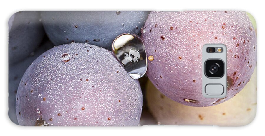 Homegrape Galaxy Case featuring the photograph Wet Fruit by Jean Noren