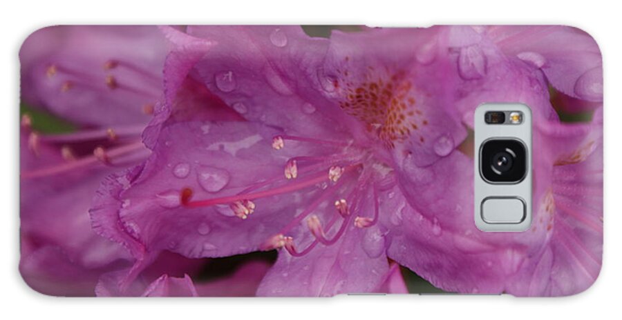 Rhodedendron Galaxy Case featuring the photograph Wet Rhodedendron by William Ohanlan