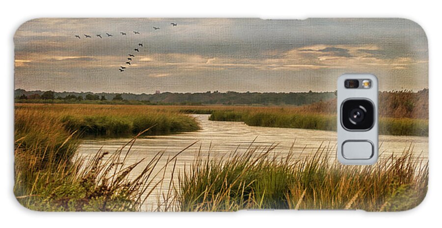 Marsh Galaxy Case featuring the photograph Wetlands in September by Cathy Kovarik