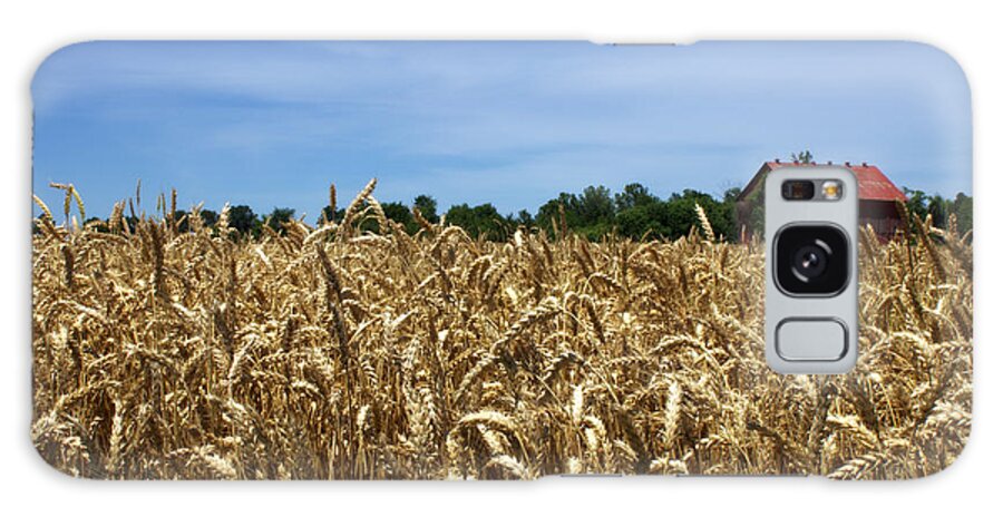 Wheat Field Galaxy Case featuring the photograph Wheat Field by Beth Vincent