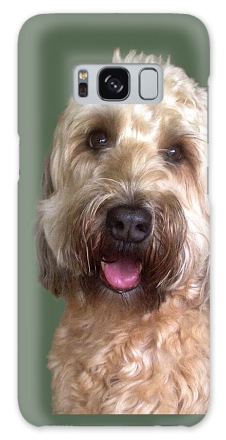 Karen Zuk Rosenblatt Art And Photography Galaxy S8 Case featuring the photograph Wheaton Terrier by Karen Zuk Rosenblatt