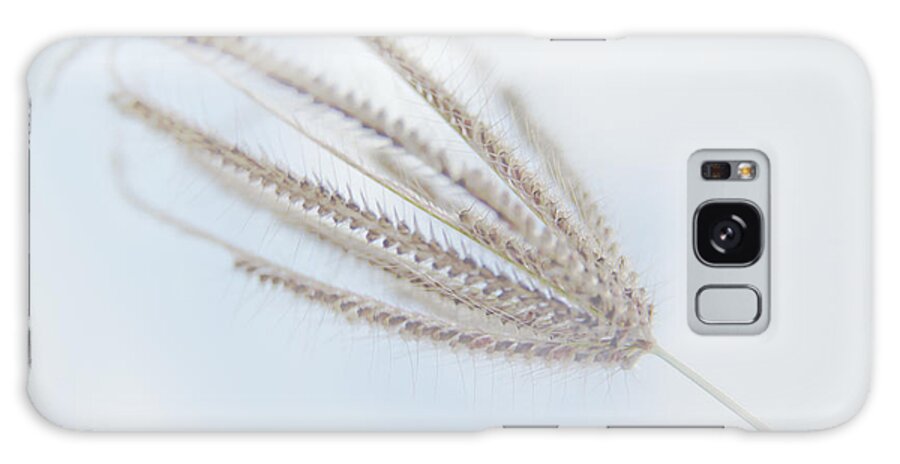 Blue Sky Galaxy Case featuring the photograph Whispering Weed by Vicki Ferrari