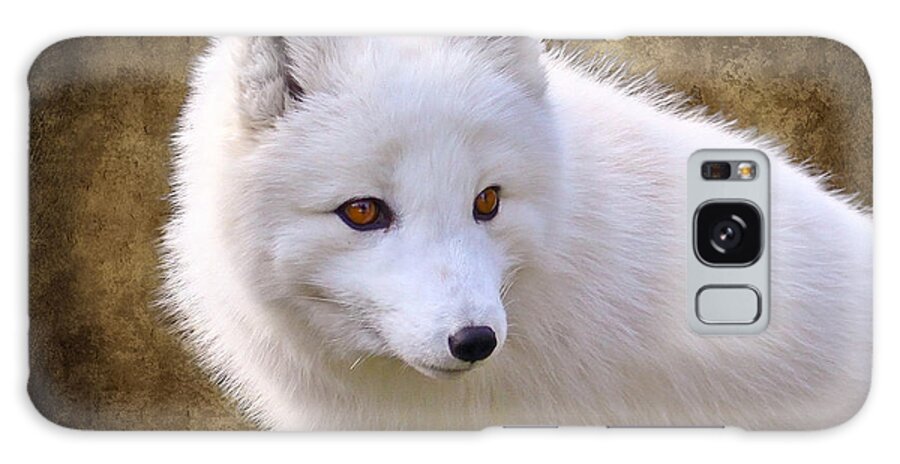 Arctic Fox Galaxy Case featuring the photograph White Arctic Fox by Steve McKinzie