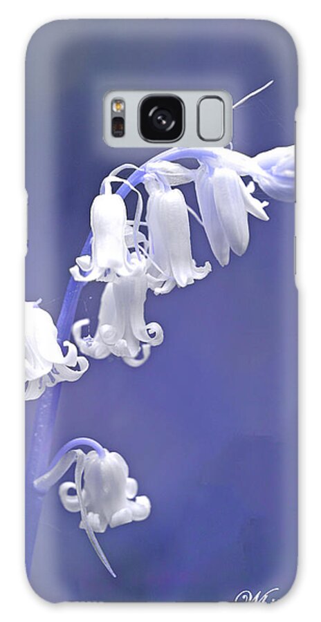 Bluebell Galaxy Case featuring the photograph White Bluebell by David Birchall