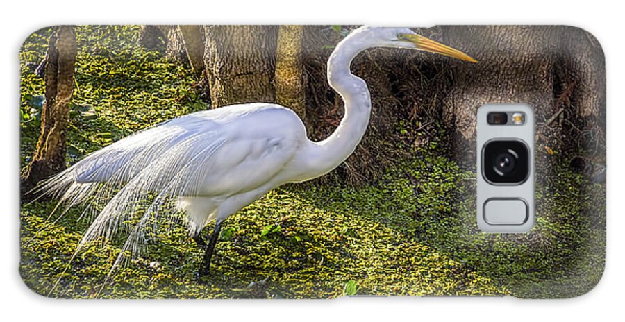 White Egret Galaxy Case featuring the photograph White Egret on the Hunt by Marvin Spates