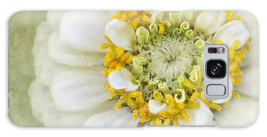 White Zinnia Flower Galaxy Case featuring the photograph White Elegance by Marina Kojukhova