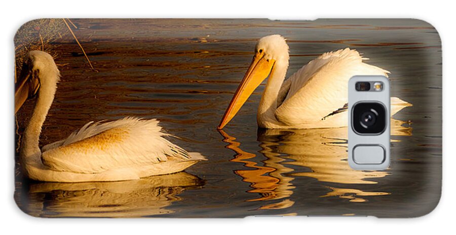 American White Pelican Bird Prints Galaxy Case featuring the photograph White Feathered Pelican Bird Swimming on Lake At Sunrise Nature Fine Art Photography Print by Jerry Cowart