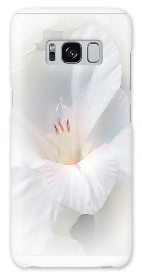 Gladiola Galaxy Case featuring the photograph White Glad by David Armstrong