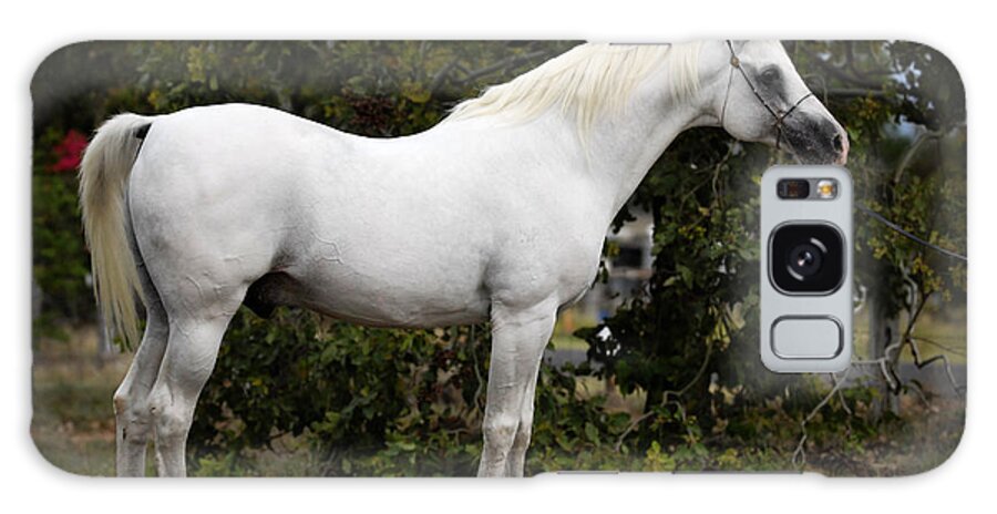 Stallion Galaxy Case featuring the digital art White Horse 11 by Janice OConnor