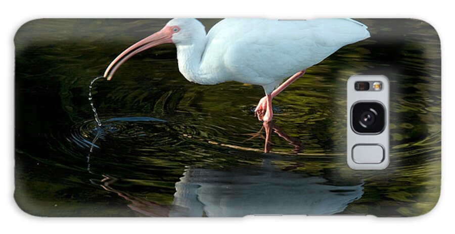 Animal Galaxy Case featuring the photograph White Ibis Eudocimus Albus by Mark Newman