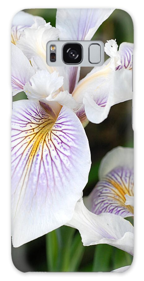 Flower Galaxy Case featuring the photograph White Iris 1 by Amy Fose