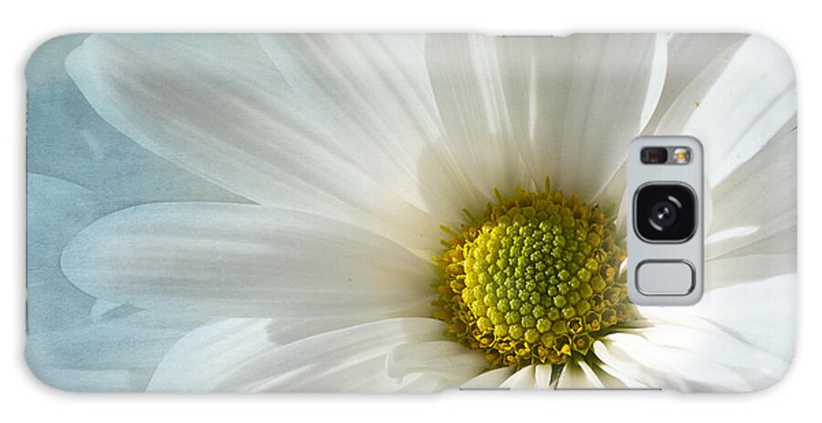 White Daisy Flower Galaxy Case featuring the photograph White Melody by Marina Kojukhova