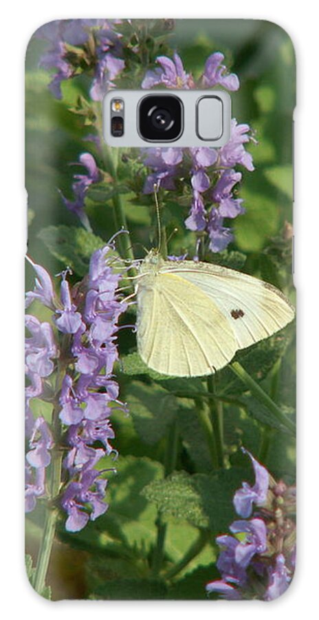 Sage Galaxy Case featuring the photograph White on Purple Sage by Lisa Blake