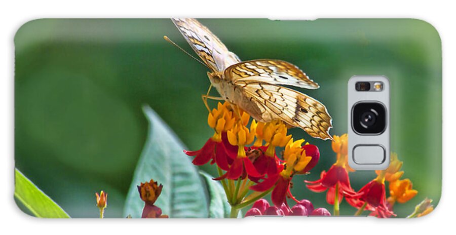 Butterfly Galaxy Case featuring the photograph White Peacock by Don Durfee