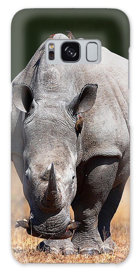 Rhinoceros Galaxy Case featuring the photograph White Rhinoceros front view by Johan Swanepoel