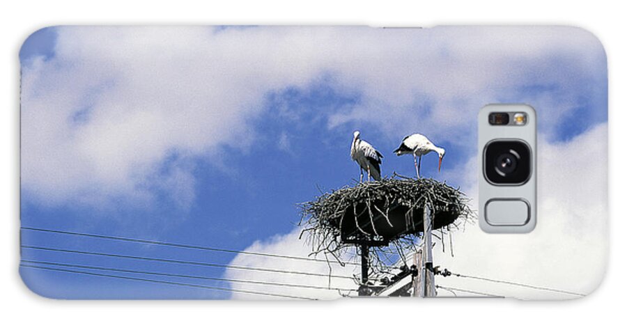 White Stork Galaxy Case featuring the photograph White Storks At Nest by H. Helfrich/Okapia