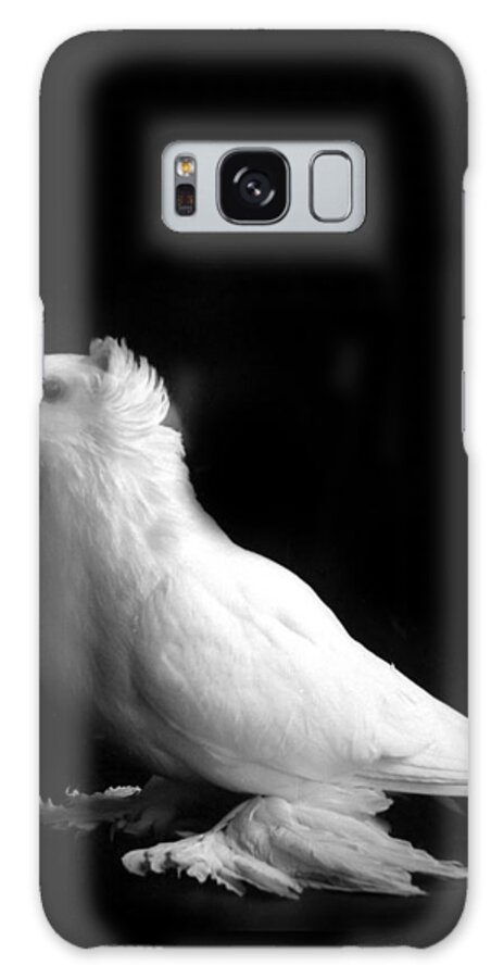 Pigeon Galaxy Case featuring the photograph White Trumpeter Pigeon by Nathan Abbott