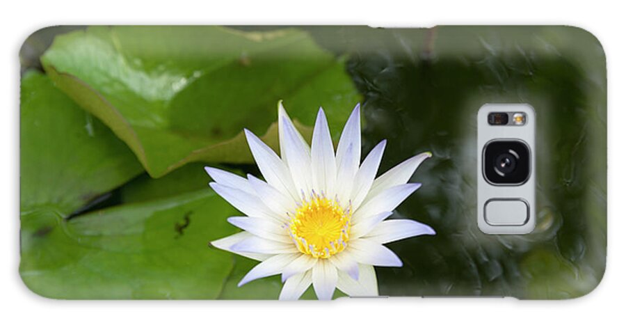 Petal Galaxy Case featuring the photograph White Water Lily, Koh Samui, Thailand by John Harper