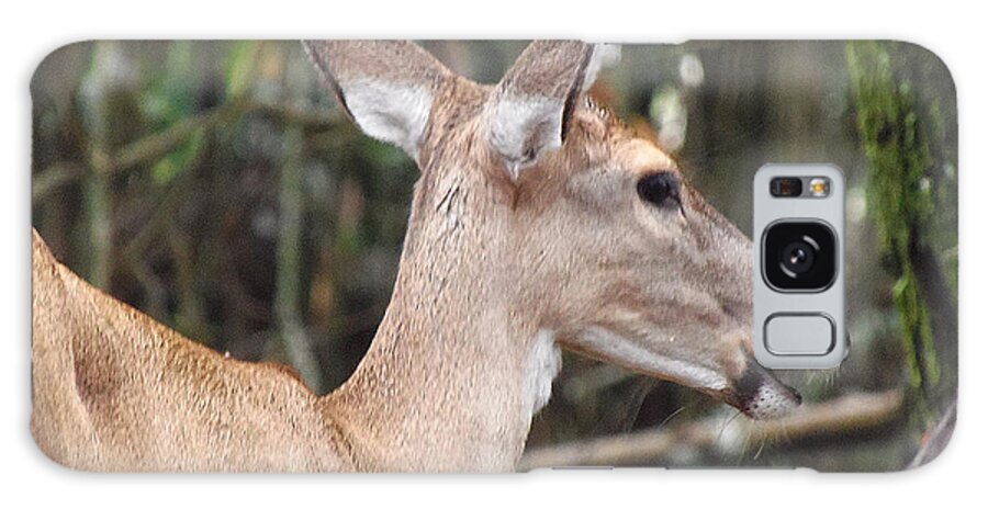 Fawn Galaxy Case featuring the photograph Whitetail Deer 038 by Christopher Mercer