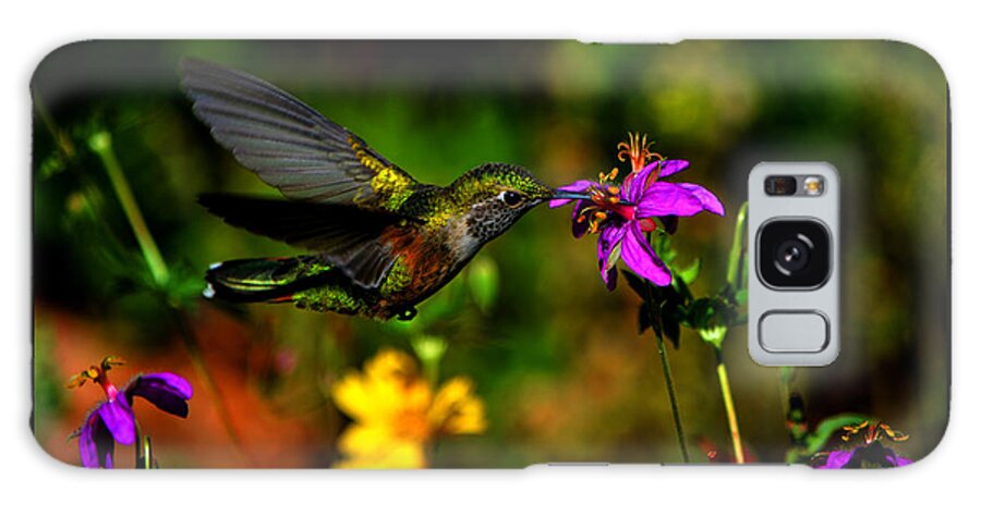 Hummingbird Drinking From Flower Galaxy S8 Case featuring the photograph Wild Geranium Cafe II by Susanne Still