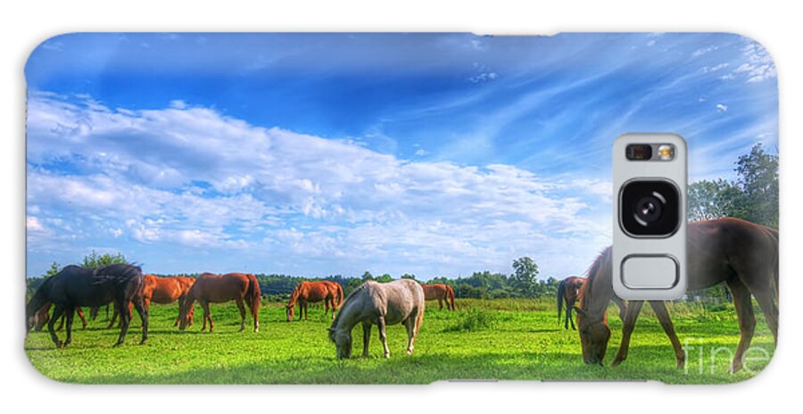 Horse Galaxy Case featuring the photograph Wild horses on the field by Michal Bednarek