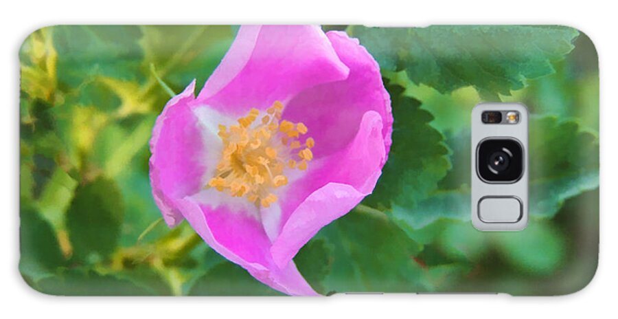 Rose Galaxy Case featuring the digital art Wild Rose by L J Oakes