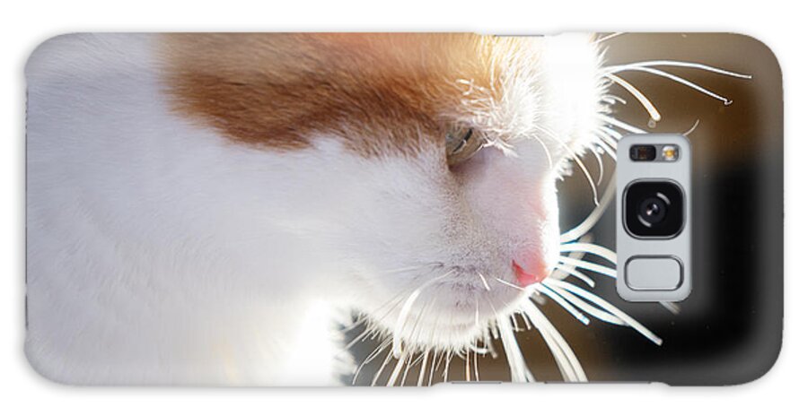 Sharon Galaxy Case featuring the photograph Wild Whiskers by Sharon Popek