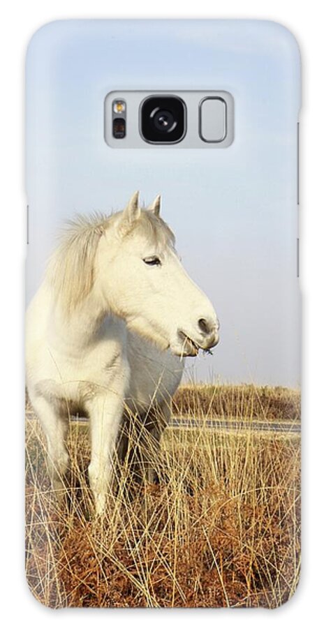 Horse Galaxy Case featuring the photograph Wild White Horse New Forest National by Rosalind Morgan