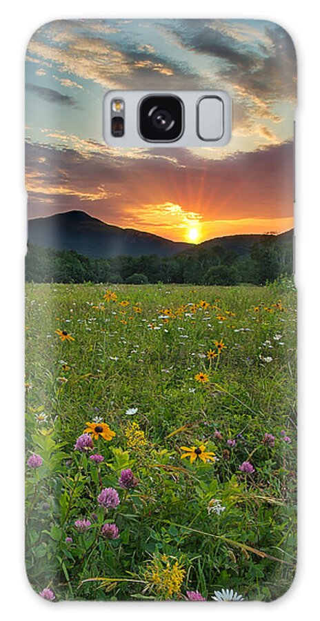 Landscape Galaxy Case featuring the photograph Wildflower Sunset by Darylann Leonard Photography