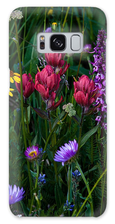 Landscape Galaxy Case featuring the photograph Wildflowers a Bloomin by Steven Reed