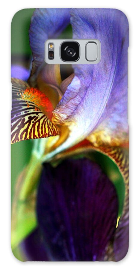 Iris Galaxy Case featuring the photograph Wildly Colorful by Deborah Crew-Johnson
