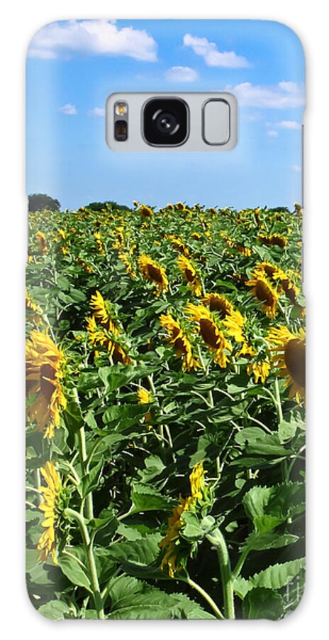 Sunflower Galaxy S8 Case featuring the photograph Windblown Sunflowers by Robert Frederick