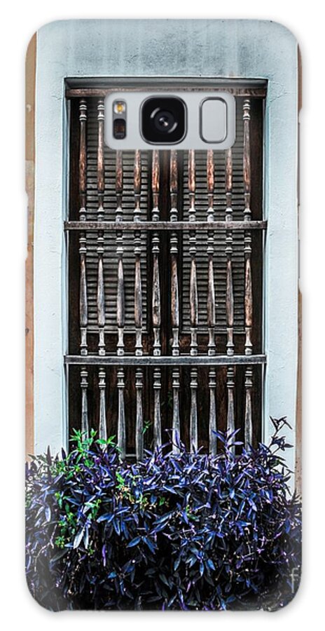 Door Galaxy Case featuring the photograph Window 53 by Perry Webster