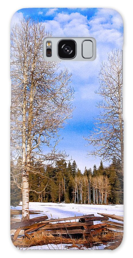 Nature Galaxy Case featuring the photograph Winter Birch by Kathleen Bishop