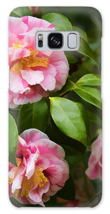 Flowers Galaxy Case featuring the photograph Winter Camellias by Penny Lisowski