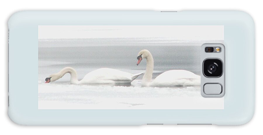 Swans Galaxy Case featuring the photograph Winter Companions by Angela Davies