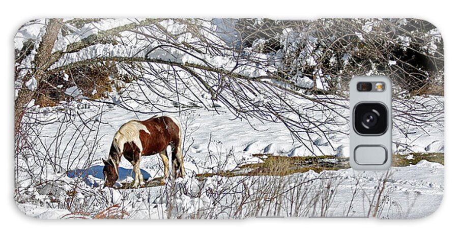 Horses Galaxy S8 Case featuring the photograph Winter Graze by Denise Romano