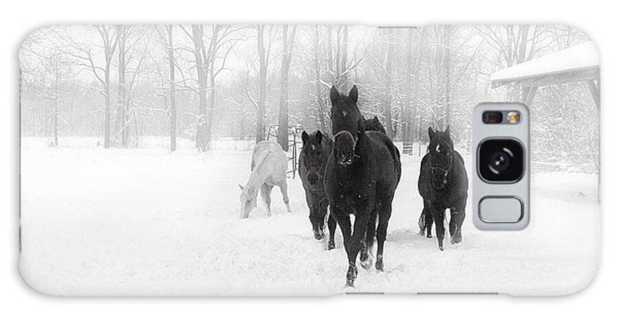 Horses Galaxy Case featuring the photograph Winter Horses by Karen Varnas