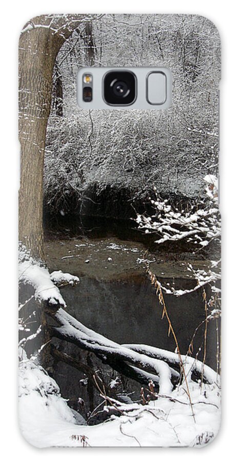 Snow Galaxy S8 Case featuring the photograph Winter in Rotary Park 2 by Ellen Tully