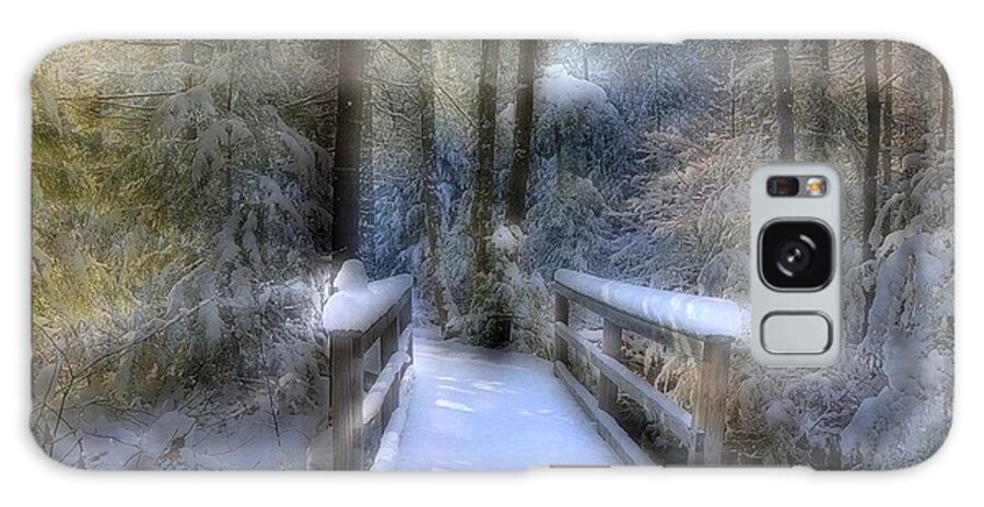 Winter Photographs Galaxy Case featuring the photograph Winter Light on Bridge by Phyllis Meinke