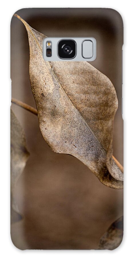 Still Life Photography Galaxy S8 Case featuring the photograph Winter by Mary Buck
