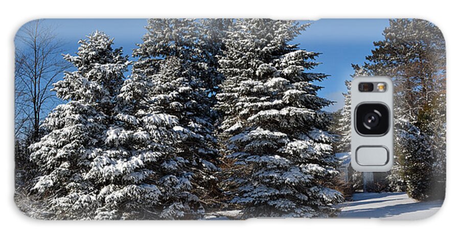 Outdoors Galaxy Case featuring the photograph Winter Scenic Landscape by Gary Keesler